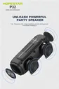 Портативная беспроводная колонка Hopestar P32 портативная колонка (Bluetooth, TWS, MP3, AUX, Mic)