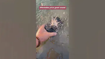If you want a waterproof one, choose this #speakershopping #bass #speaker #bluetoothspeaker #jbl