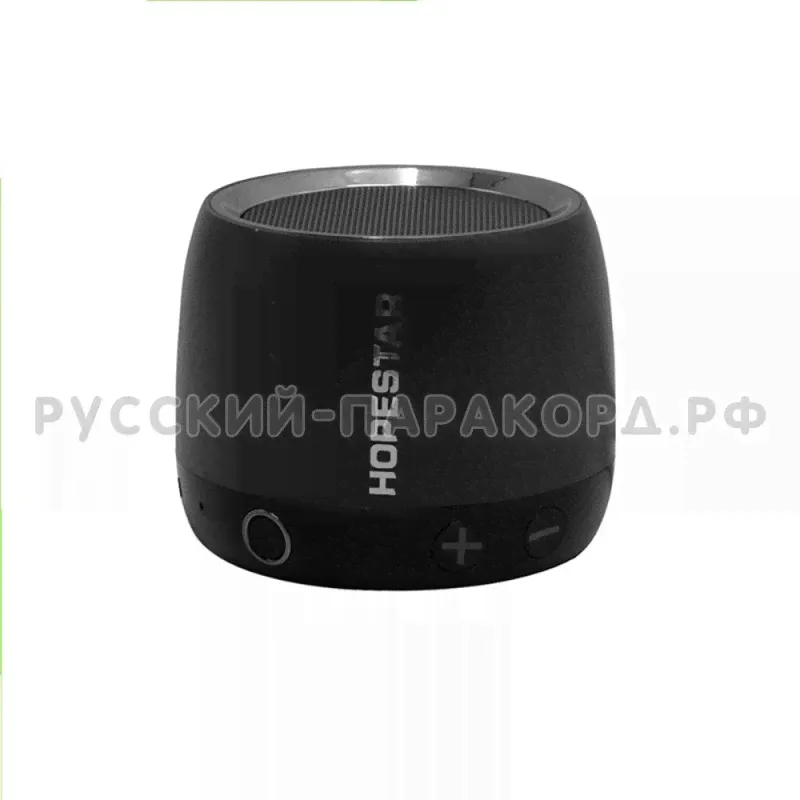 Портативная акустическая колонка Hopestar H17 (Bluetooth, FM, MP3, AUX, Mic)-3