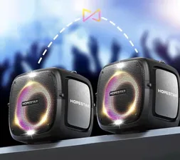 HOPESTAR PartyOne портативная система 80Вт, 2 микрофона, аккумулятор, Bluetooth, AUX, LED