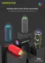 Портативная беспроводная колонка Hopestar P32 портативная колонка (Bluetooth, TWS, MP3, AUX, Mic)